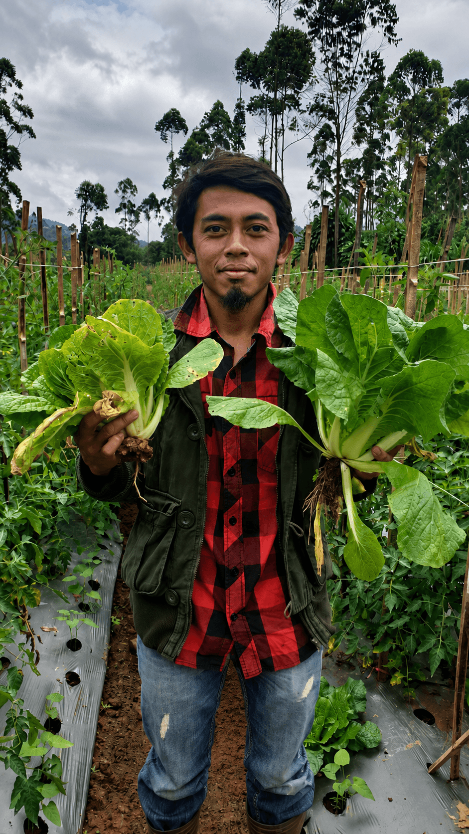 Pak Agus